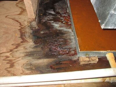 About Streamline Pros - water damage restoration experts in Norwalk